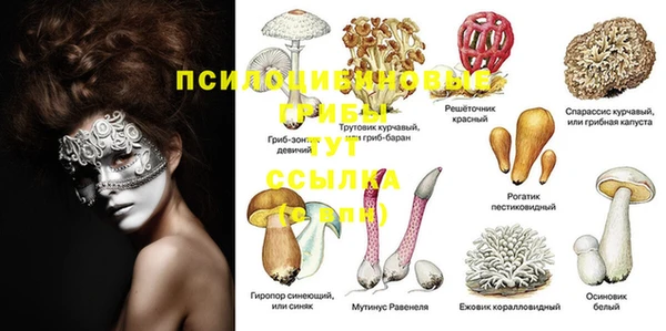 прущая мука Балахна